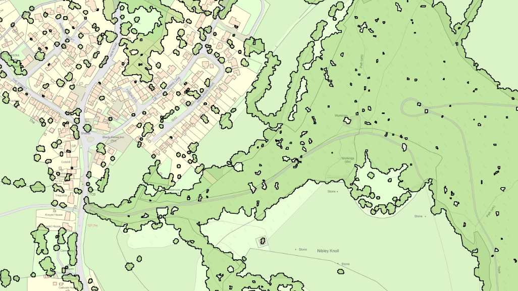 Map of tree canopy